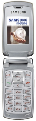   Samsung SGH-X540