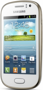   Samsung Galaxy Fame S6810